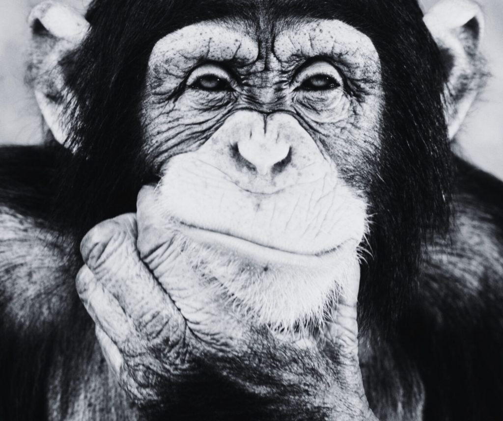 Der "Bau-Turbo" im Jahresrückblick: Schwierigkeiten mit der Zündung, oder wie? design ohne titel (42)