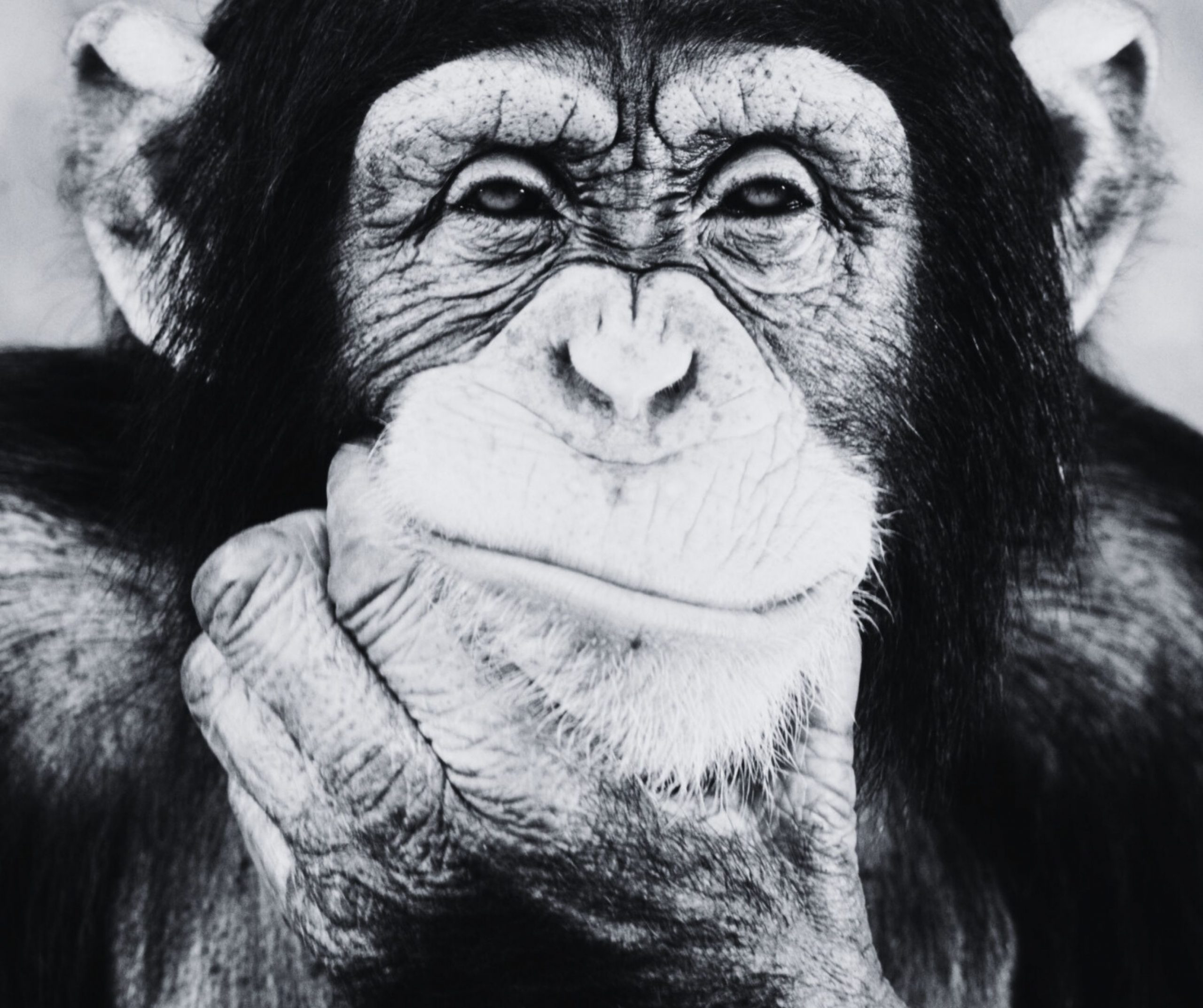 design ohne titel (42)