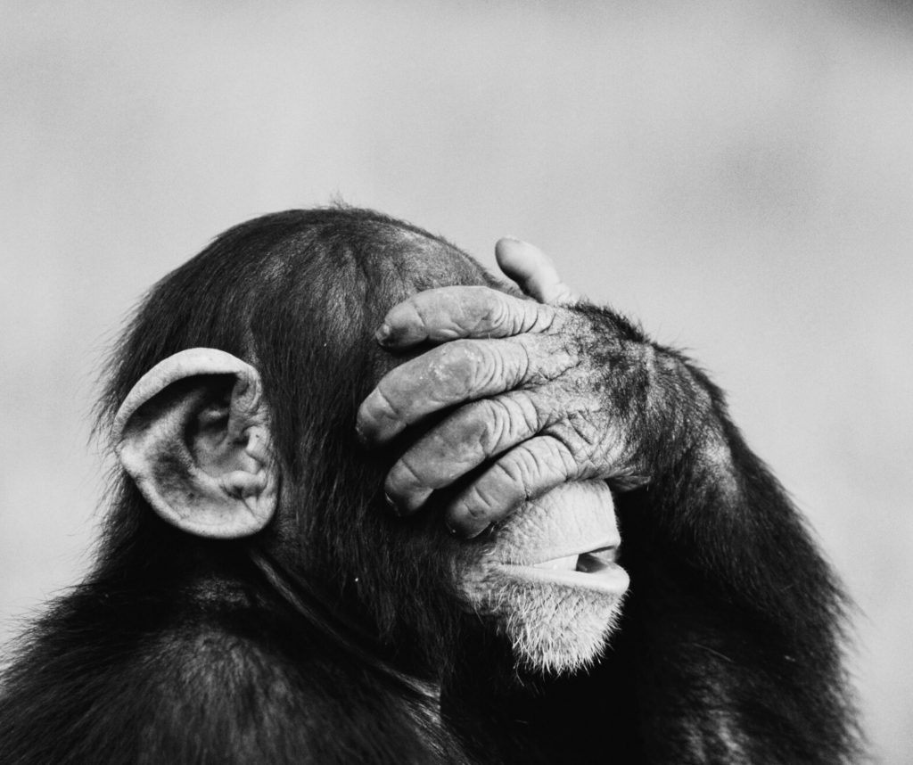 Reich werden mit Immobilien oder das (fast wahre) Märchen vom 1-Zimmer-Millionär design ohne titel (43)