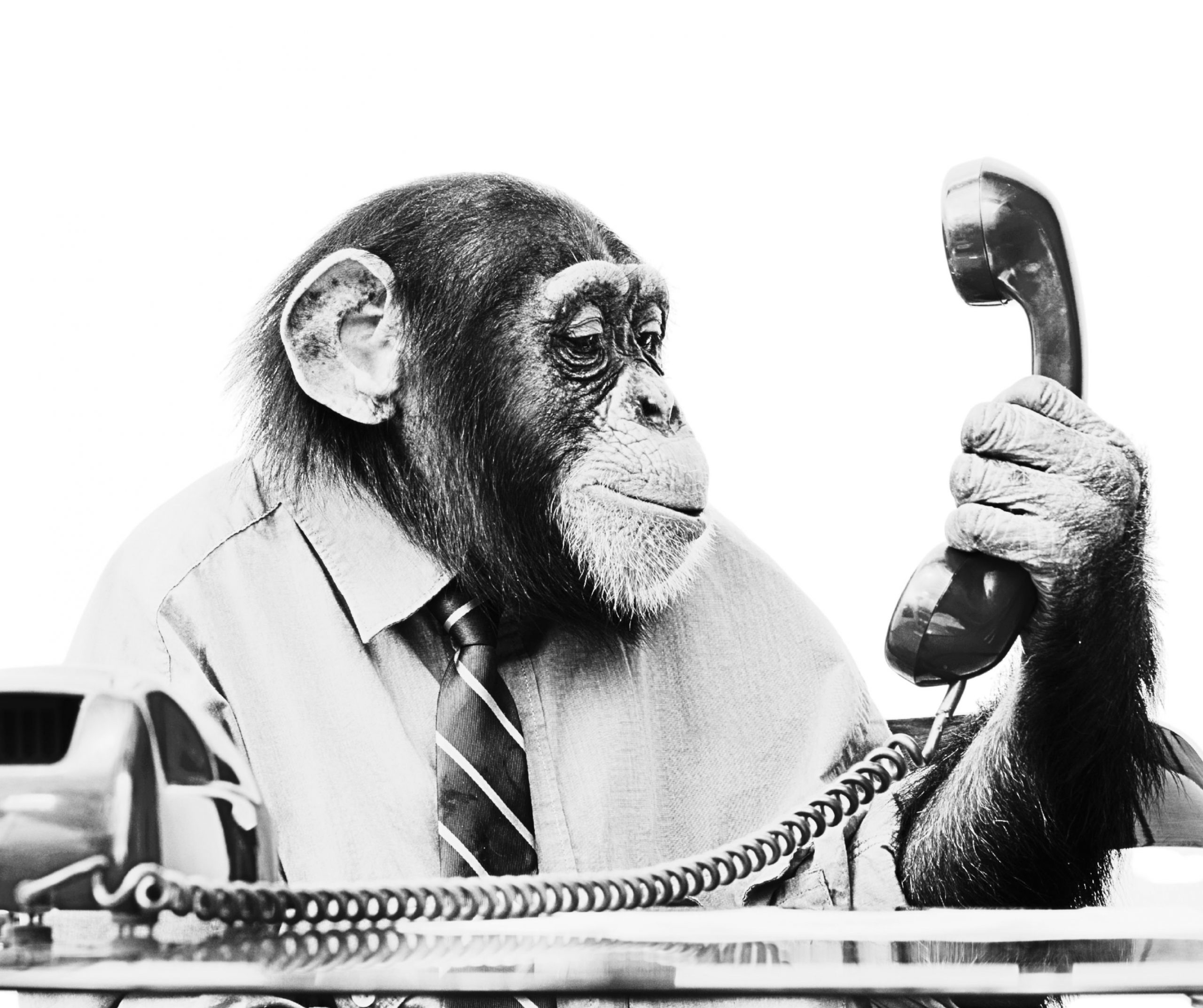 Home design ohne titel (46)