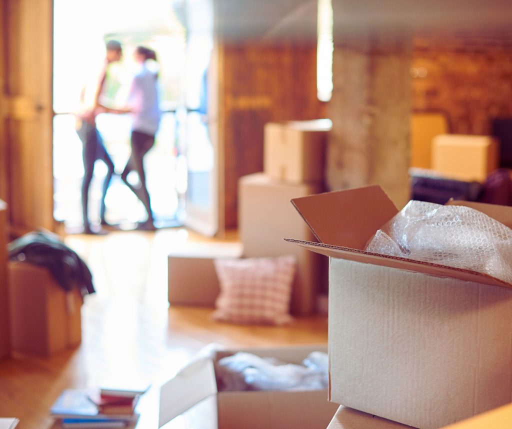 dein abschnittstext (1)