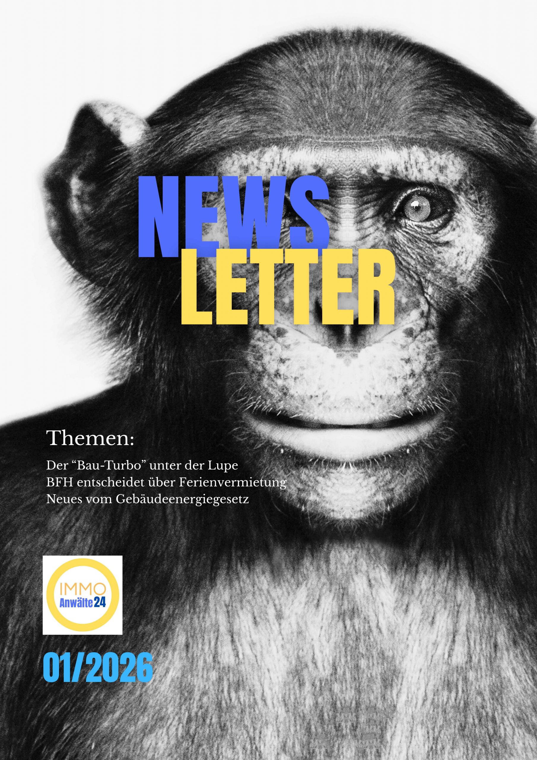 yellow simple minimalist business newsletter