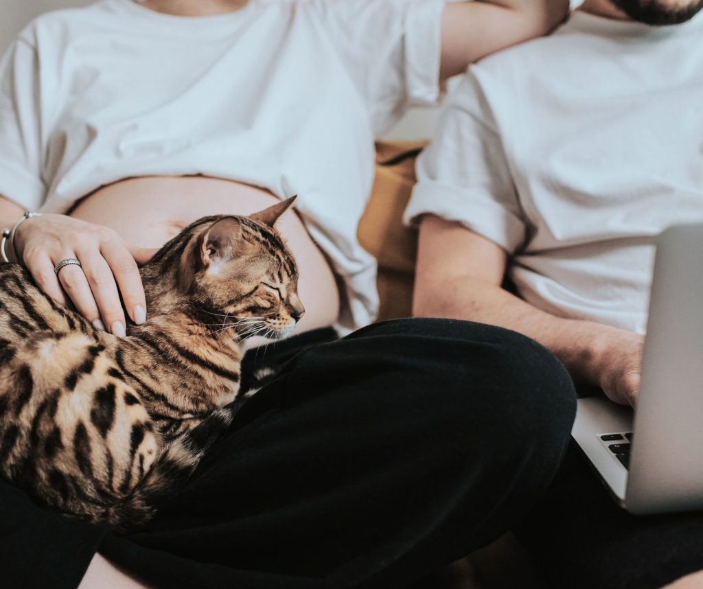 Haustiere in der WEG – ein rechtliches Spannungsfeld des Alltags weg22