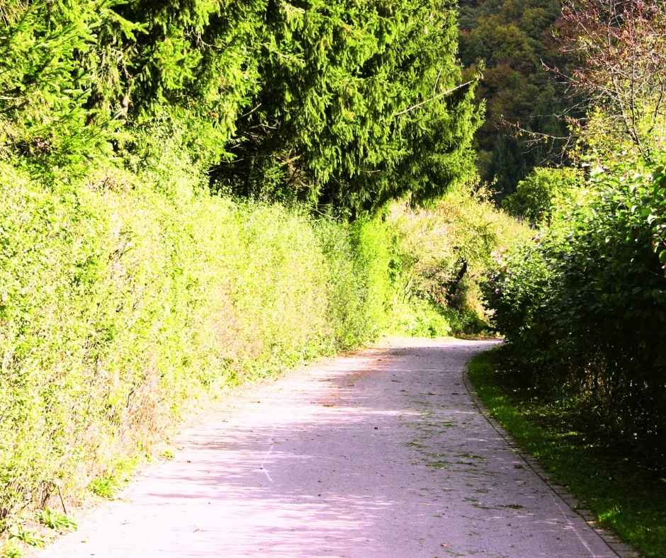 Wegerecht widerrufen als Eigentümer – Welche Möglichkeiten hast Du wirklich? teln (8)